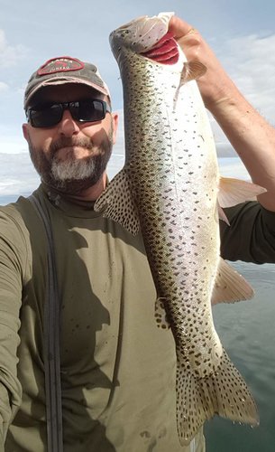 10.27.18 cutbow.jpg 10.27.18 cutbow.jpg