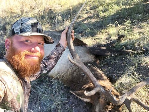 Elk 2.jpg