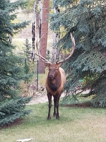 20180929_102428.jpg 20180929_102428.jpg