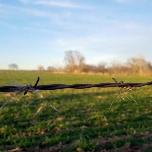 20181031_181201.jpg 20181031_181201.jpg