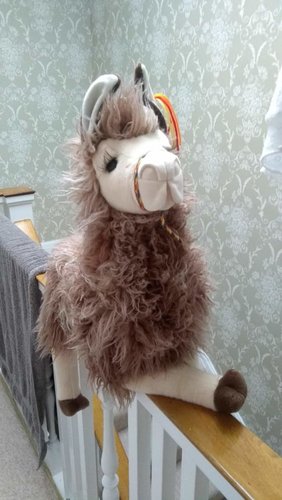 IMG-20181106-WA0000.jpg IMG-20181106-WA0000.jpg