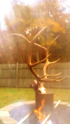 IMG_20181031_164123.jpg IMG_20181031_164123.jpg