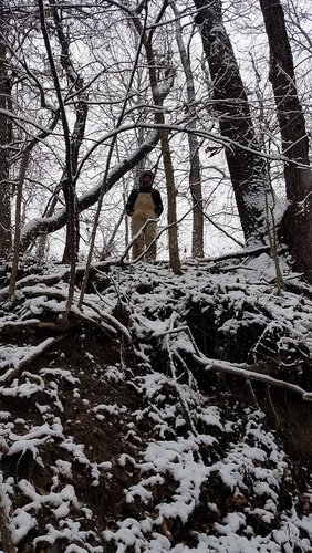 20181109_112904.jpg 20181109_112904.jpg