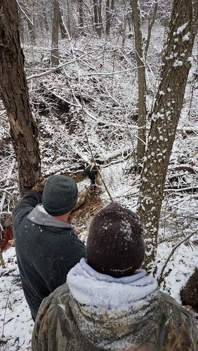 20181109_120955.jpg 20181109_120955.jpg