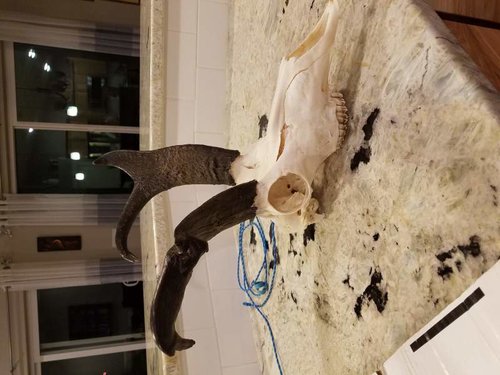 20181112_195039[1].jpg