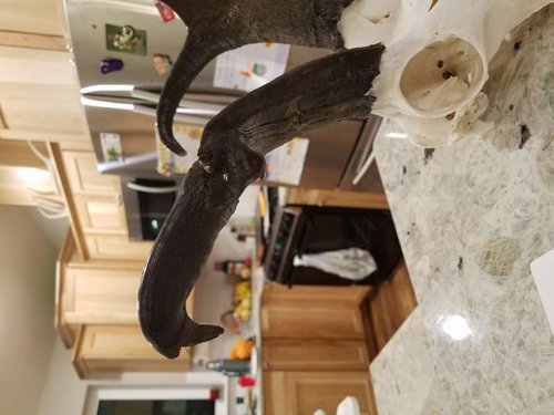 20181113_174342.jpg