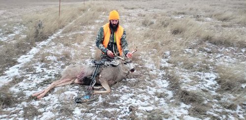 20181111_075356.jpg 20181111_075356.jpg