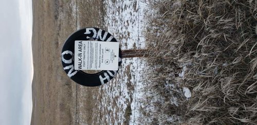 20181111_081223.jpg 20181111_081223.jpg