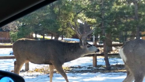 20181115_094519.jpg