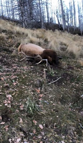 Image-1.jpg Image-1.jpg