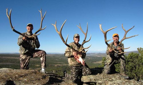 3 Bulls 1.jpg 3 Bulls 1.jpg