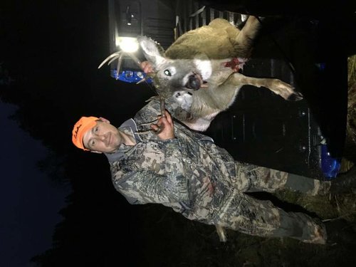 WY Whitetail 6.jpg