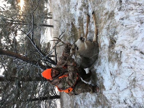 2018montanabuck1.jpg 2018montanabuck1.jpg