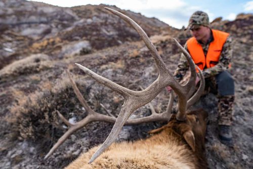 Marcus Hocket 2018 WY Elk-13.jpg