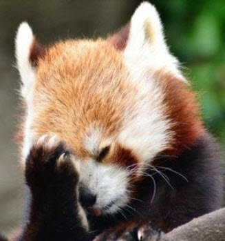 facepalm.jpg facepalm.jpg