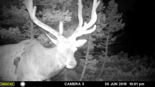 IMG_1527.jpg IMG_1527.jpg