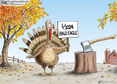turkey.jpg