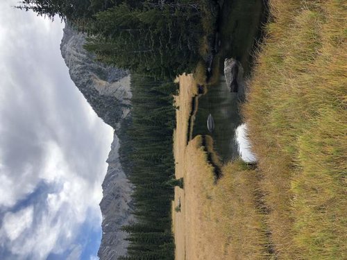 IMG_0731.jpg IMG_0731.jpg