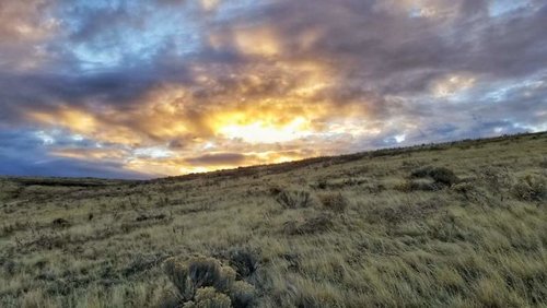 20181107_070640-01.jpg 20181107_070640-01.jpg