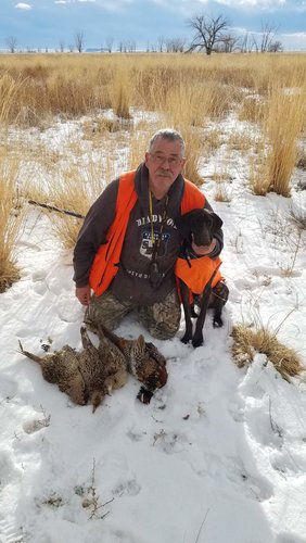 lu birds 11 24 18 2.jpg