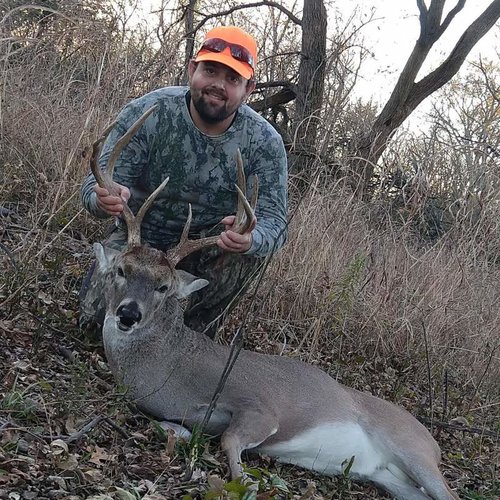 WT buck 2018.jpg WT buck 2018.jpg