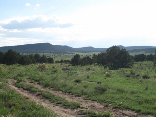 ranch 008.jpg