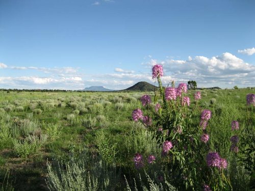 ranch 044.jpg ranch 044.jpg