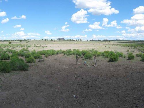 ranch etc early 439.jpg ranch etc early 439.jpg