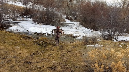 20181121_153721.jpg 20181121_153721.jpg
