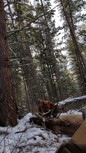 VideoCapture_20181127-114820.jpg VideoCapture_20181127-114820.jpg