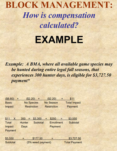 BMA.jpg BMA.jpg