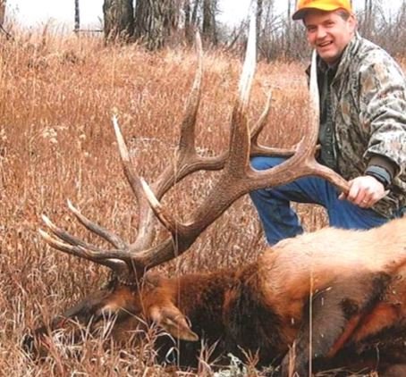 Jackson elk 2008.JPG Jackson elk 2008.JPG