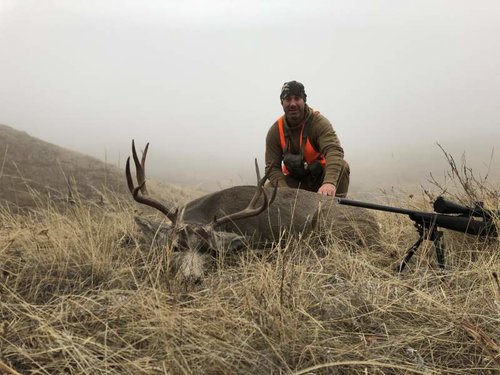 deer 2018-1.jpg deer 2018-1.jpg