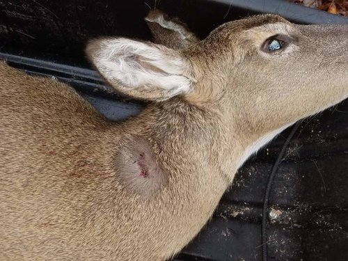 20181202_101915.jpg 20181202_101915.jpg