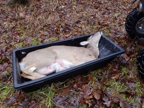 20181202_102115.jpg 20181202_102115.jpg