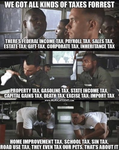 21u94jblmz121.jpg