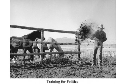training_for_politics.jpg