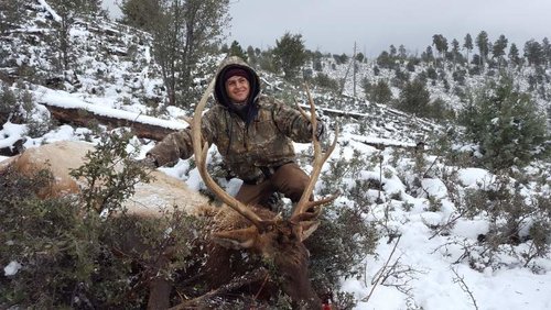 Nico Elk.jpg Nico Elk.jpg