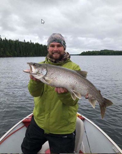 Trout.jpg Trout.jpg