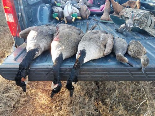 20181209_091634.jpg 20181209_091634.jpg