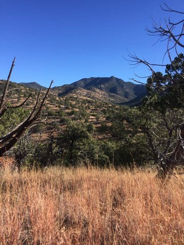 scenery 3.jpg scenery 3.jpg