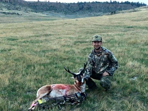 antelope.jpg