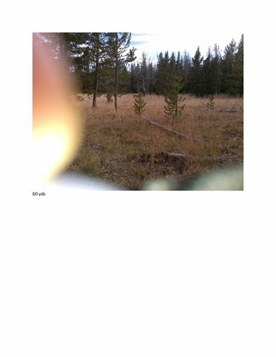 The 2018 Wyoming Elk hunt of Cheeser clean version_4.jpg