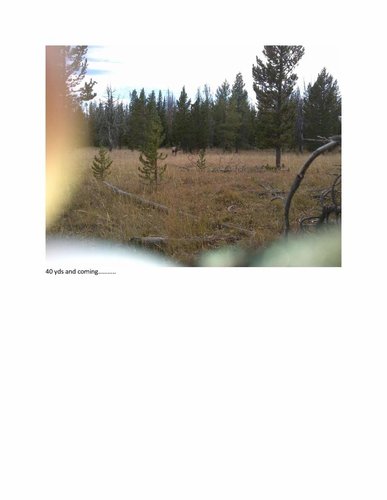 The 2018 Wyoming Elk hunt of Cheeser clean version_5.jpg