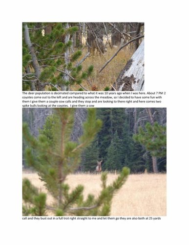 The 2018 Wyoming Elk hunt of Cheeser clean version_13.jpg