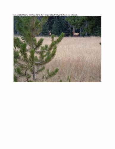 The 2018 Wyoming Elk hunt of Cheeser clean version_14.jpg