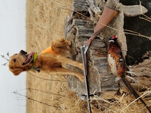 2018 Jan 10 last day.jpg