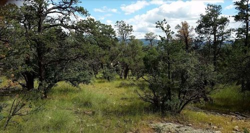 Juniper Flats.jpg Juniper Flats.jpg