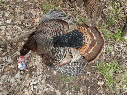 064.jpg 064.jpg