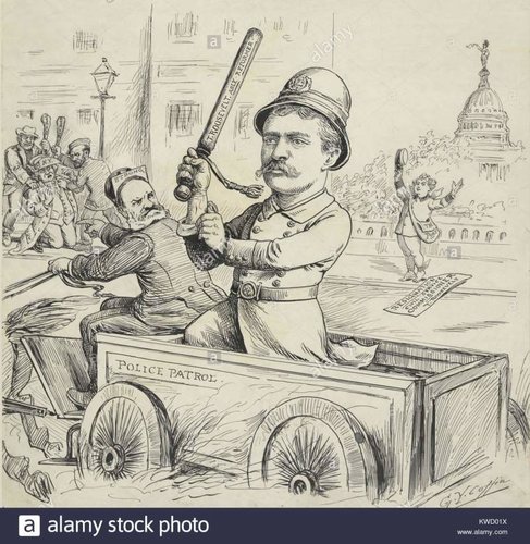 a-roosevelt-to-the-rescue-cartoon-by-george-yost-coffin-may-5-1895-KWD01X.jpg